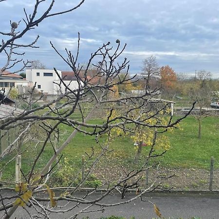 La Grange Proche D'Europapark Apartman Kunheim Kültér fotó