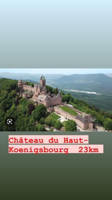 La Grange Proche D'Europapark Apartman Kunheim Kültér fotó