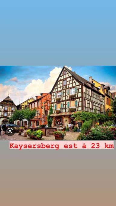 La Grange Proche D'Europapark Apartman Kunheim Kültér fotó