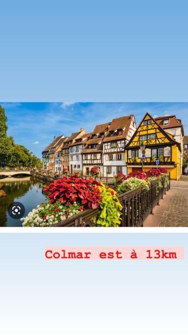 La Grange Proche D'Europapark Apartman Kunheim Kültér fotó